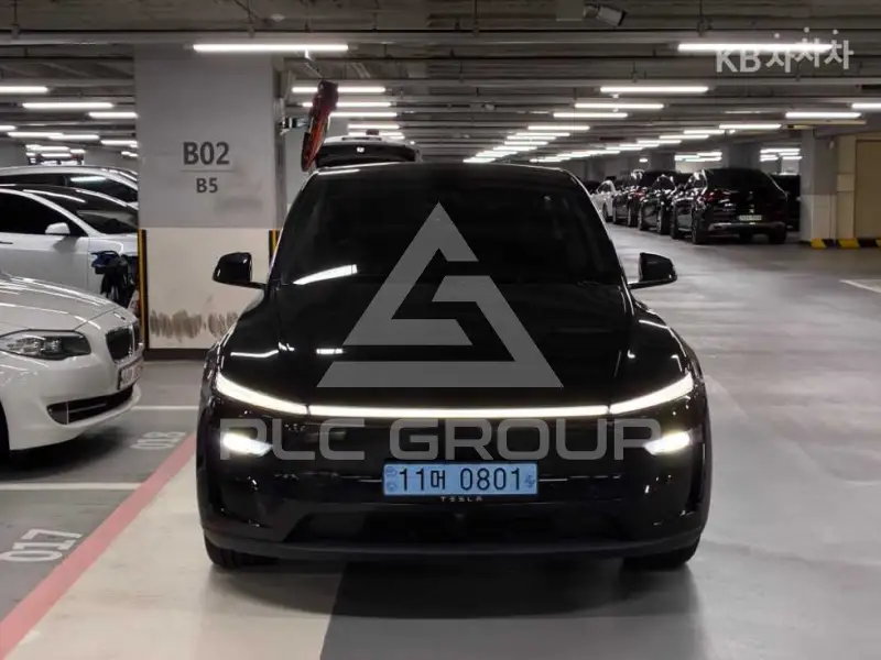 2025 Tesla Model Y