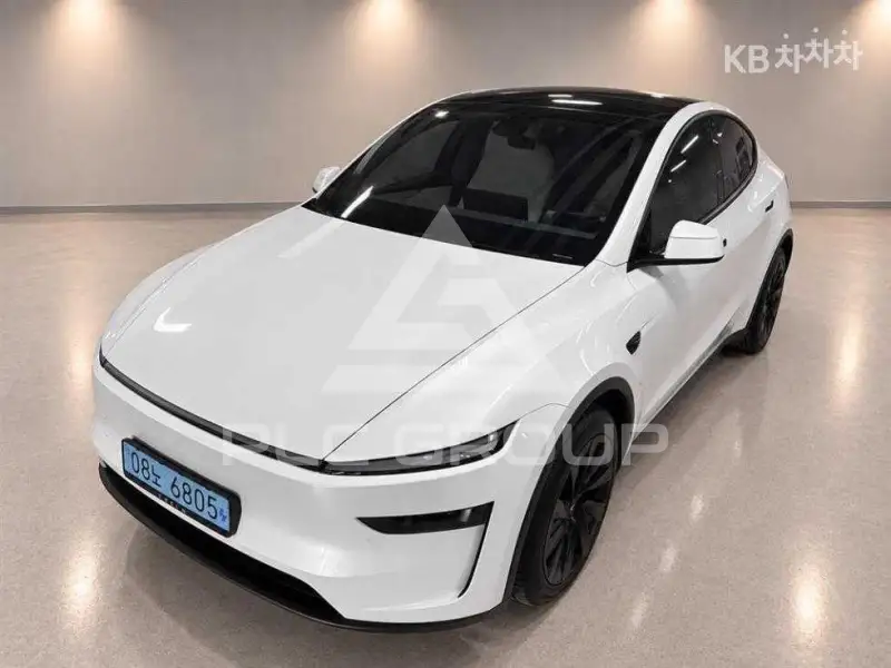 2025 Tesla Model Y