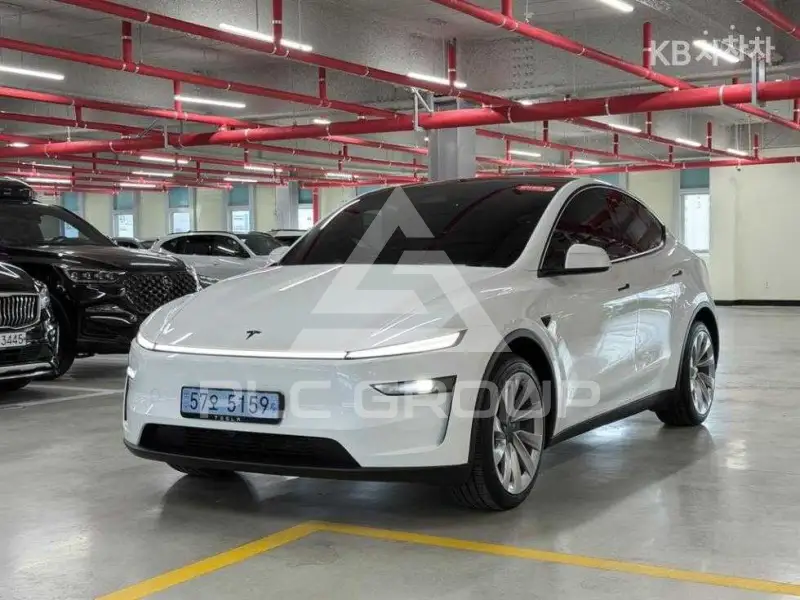 2025 Tesla Model Y