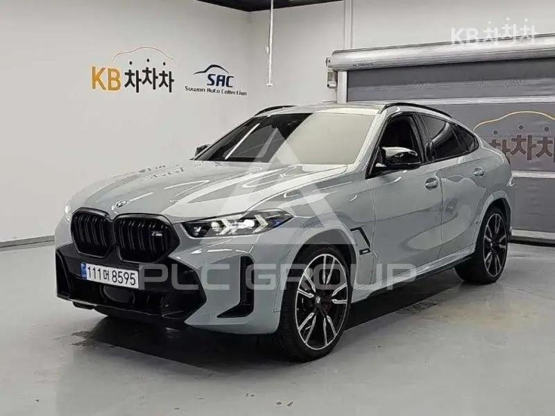 2026 BMW X6