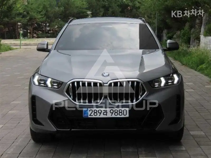 2026 BMW X6