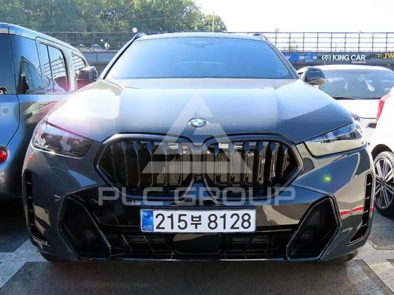 2026 BMW X6