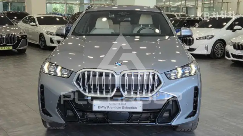 2026 BMW X6