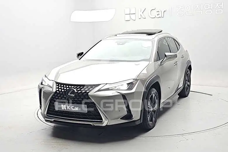 2019 Lexus UX