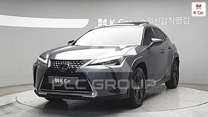 2019 Lexus UX