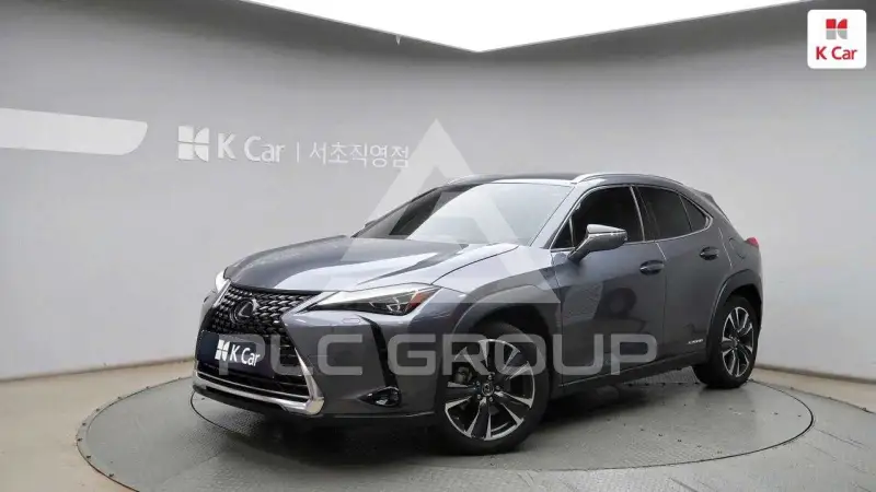 2019 Lexus UX