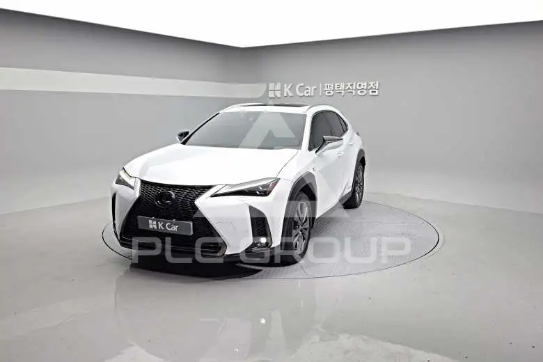 2020 Lexus UX