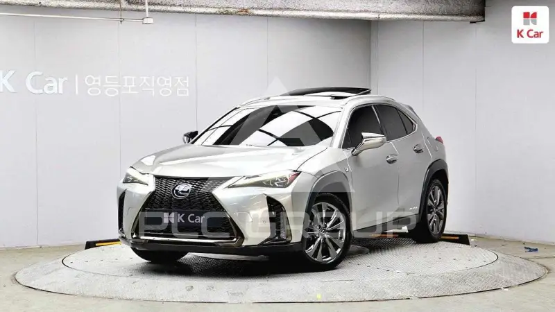 2020 Lexus UX