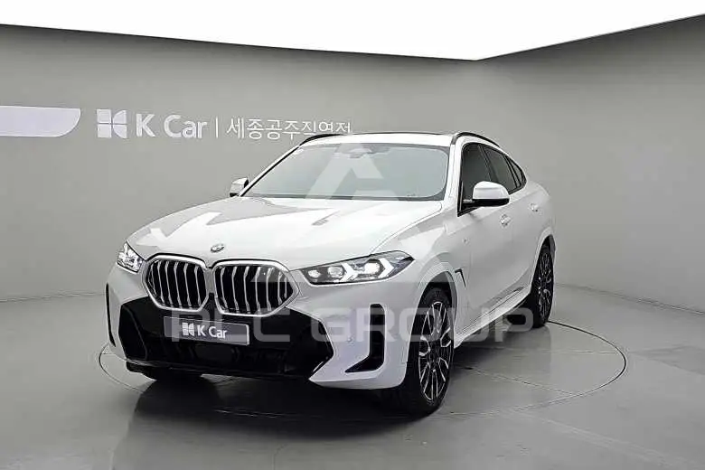 2024 BMW X6