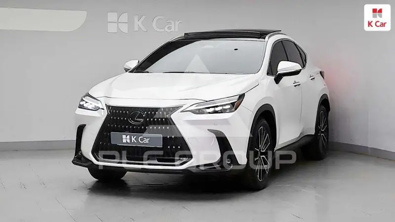 2024 Lexus NX