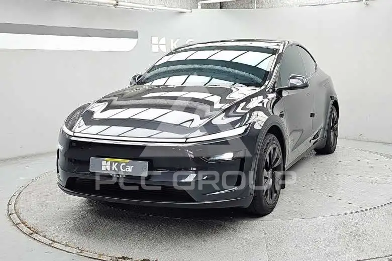 2025 Tesla Model Y