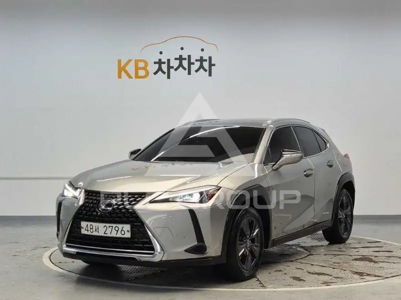 2019 Lexus UX