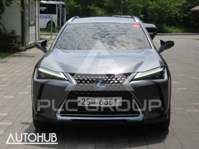 2019 Lexus UX