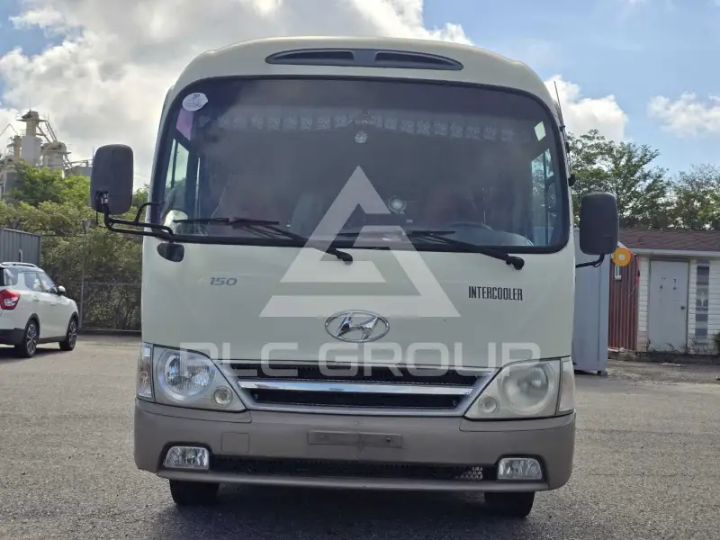 2008 Hyundai Country