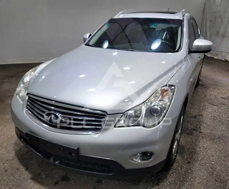 2010 Infinity 