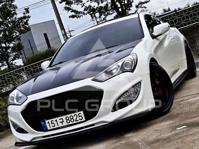 2010 Hyundai Genesis
