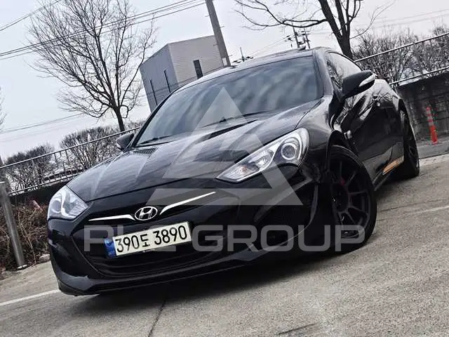 2010 Hyundai Genesis