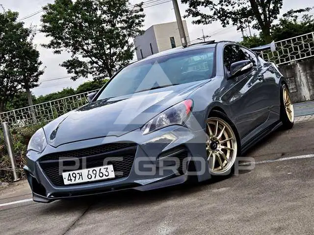 2010 Hyundai Genesis