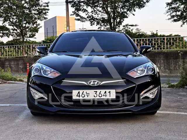 2010 Hyundai Genesis