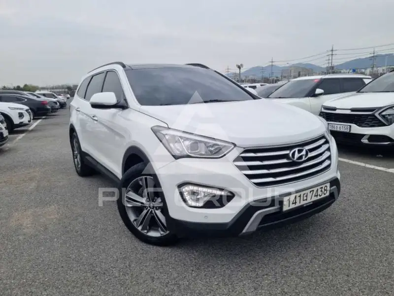 2014 Hyundai Maxcruz