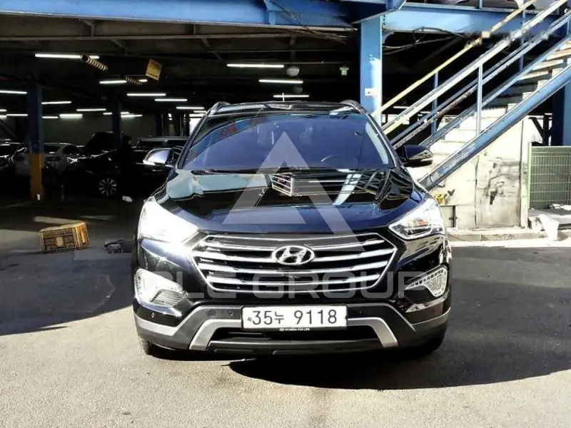 2014 Hyundai Maxcruz
