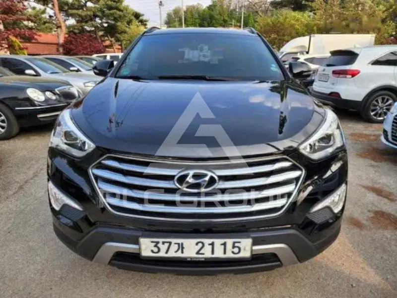 2014 Hyundai Maxcruz