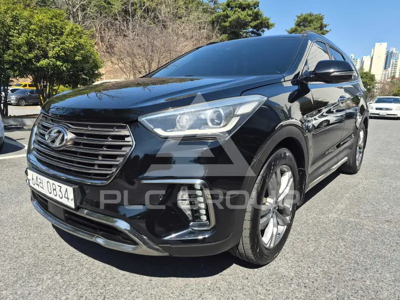 2016 Hyundai Maxcruz