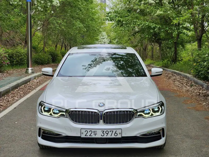 2019 BMW 5 series