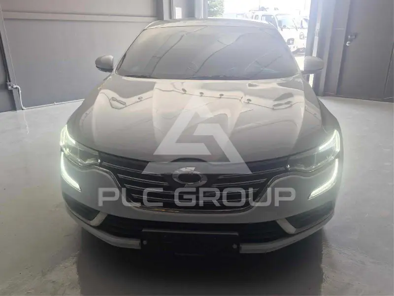 2019 Renault Sm6