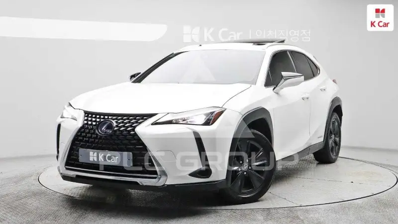 2019 Lexus UX