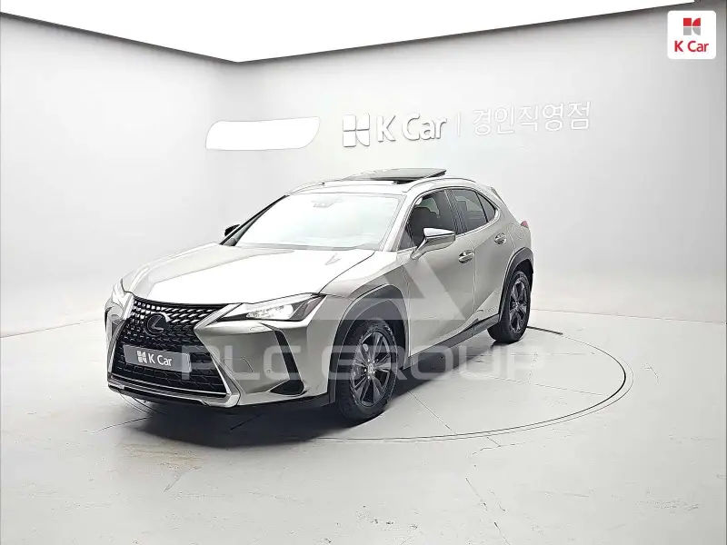 2019 Lexus UX