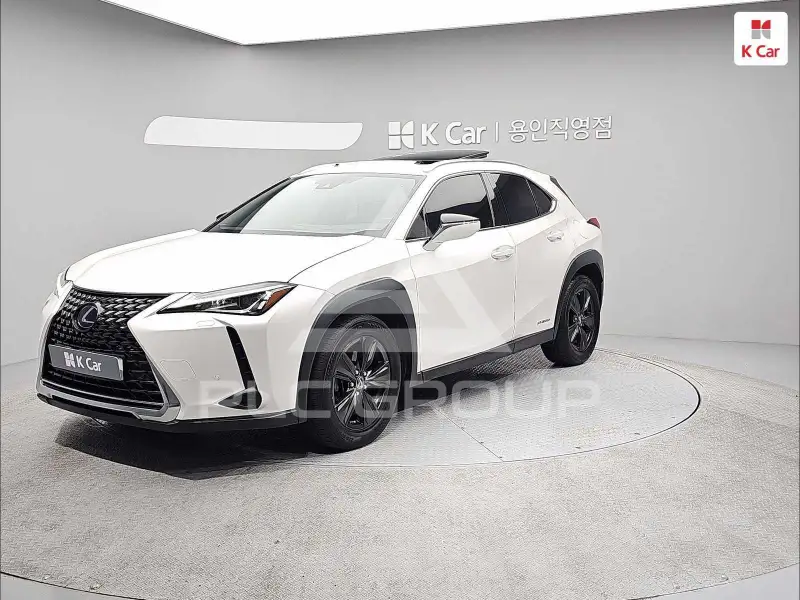 2019 Lexus UX