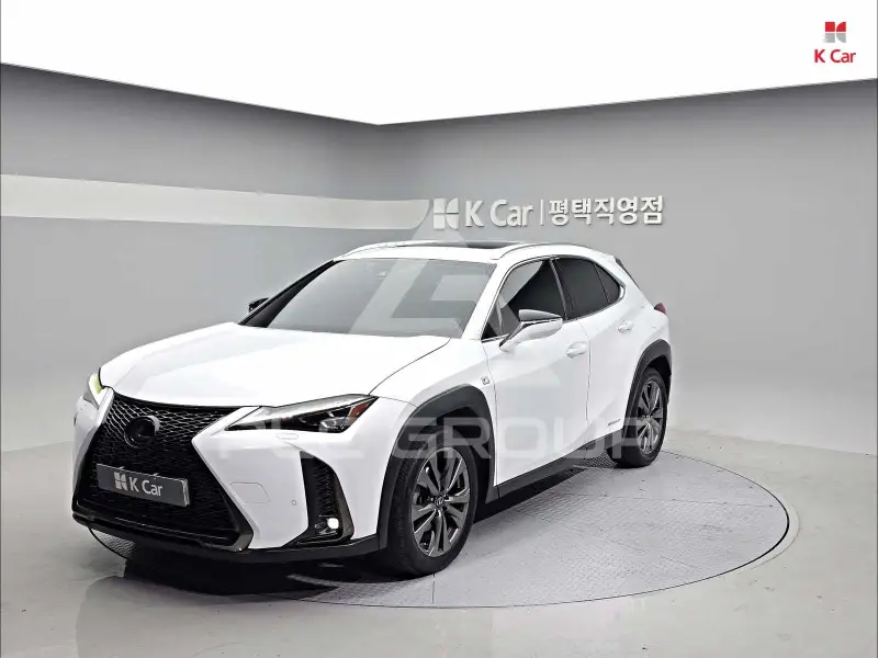 2020 Lexus UX