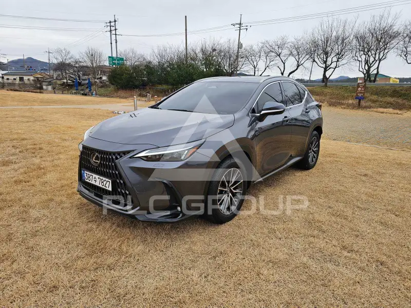 2024 Lexus NX