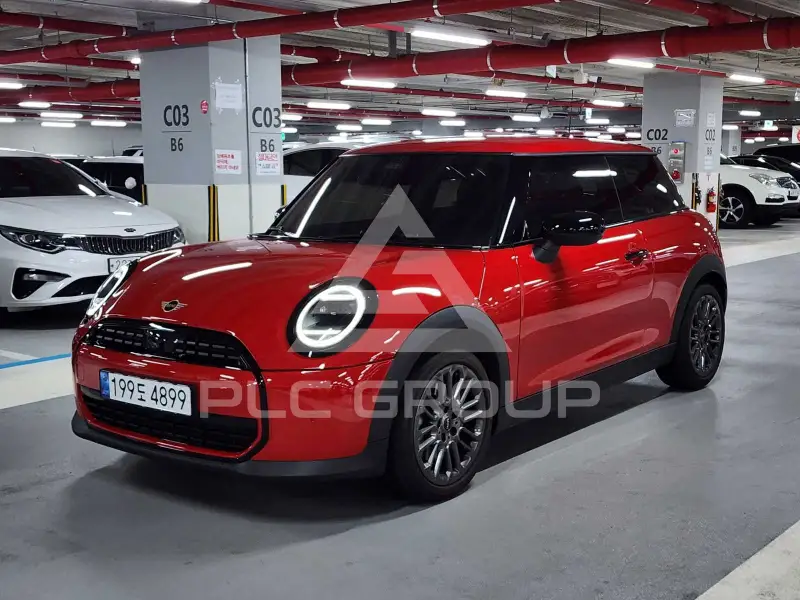 2025 Mini 