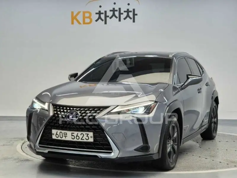 2019 Lexus UX