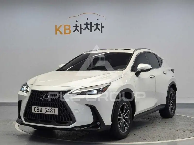 2025 Lexus NX