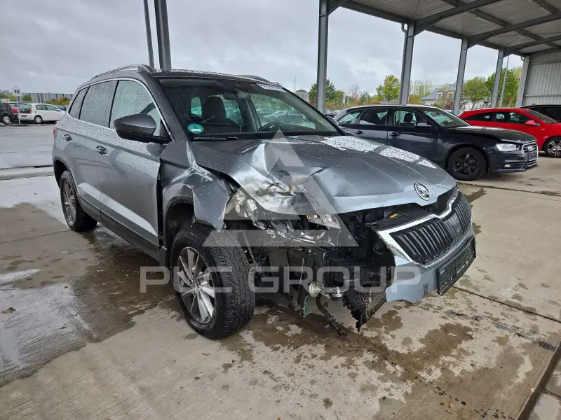 2019 Skoda Karoq