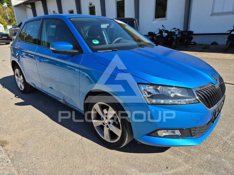 2019 Skoda Fabia