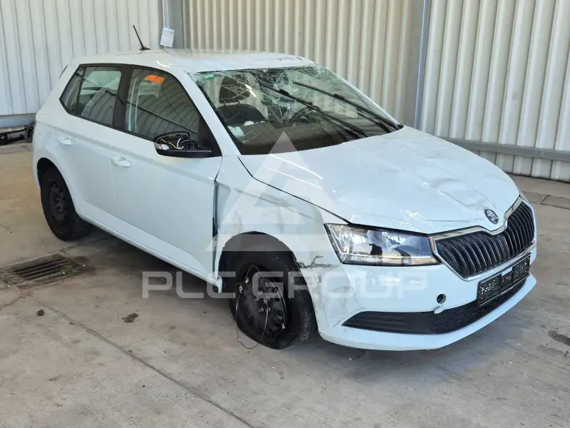 2019 Skoda Fabia