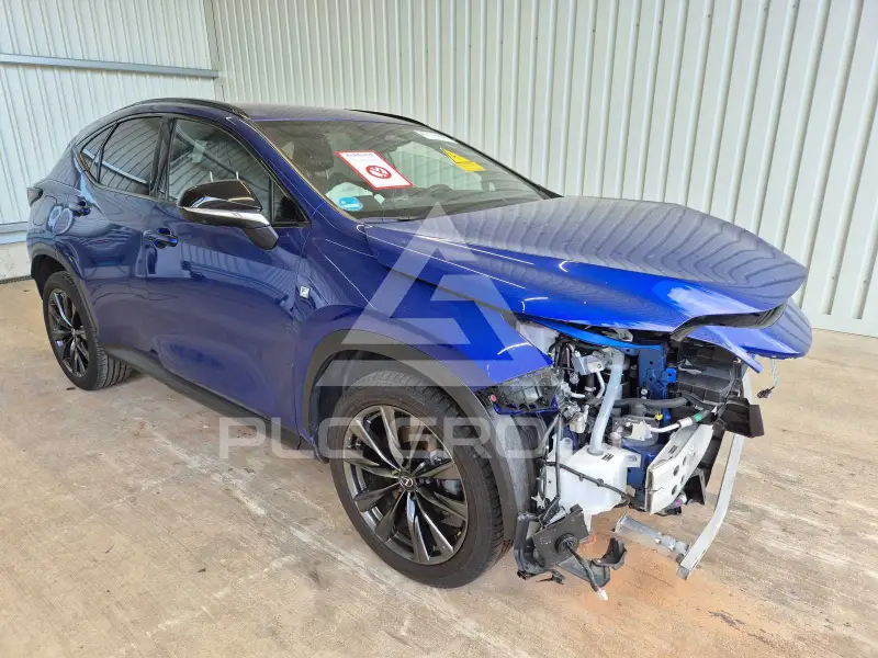 2024 Lexus NX