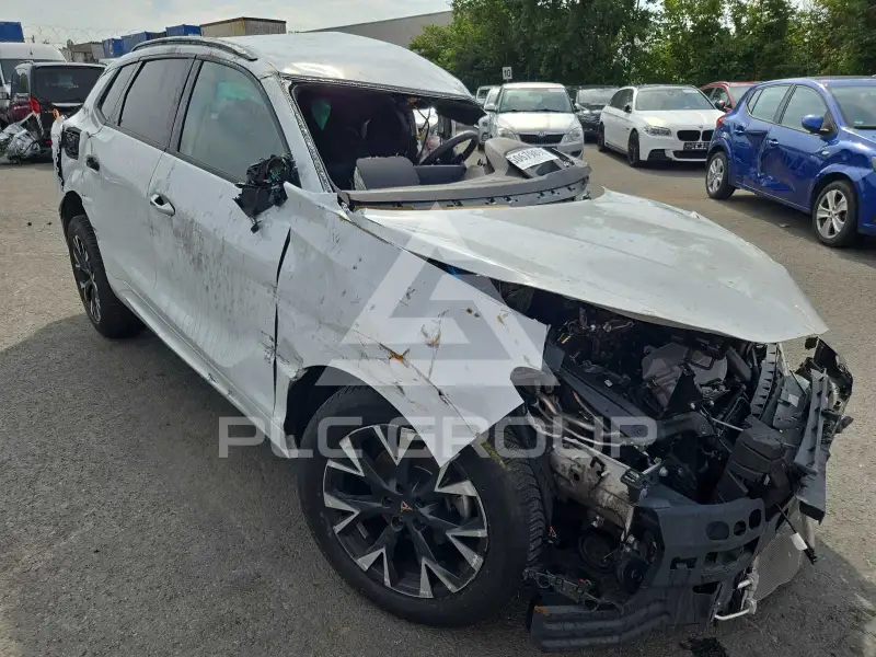 2025 Cupra Other