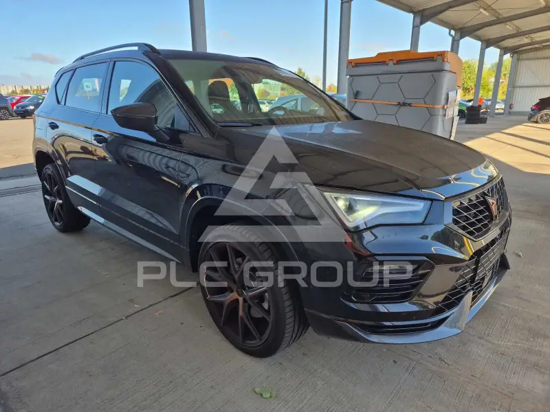 2026 Cupra Other