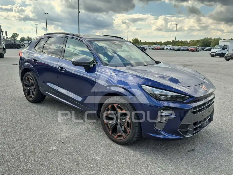 2026 Cupra Other