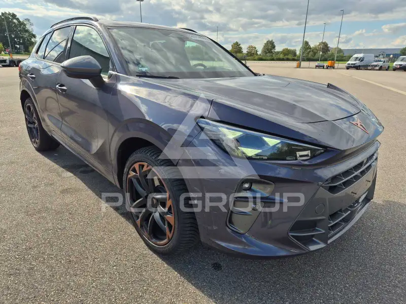 2026 Cupra Other