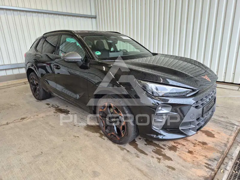 2026 Cupra Other
