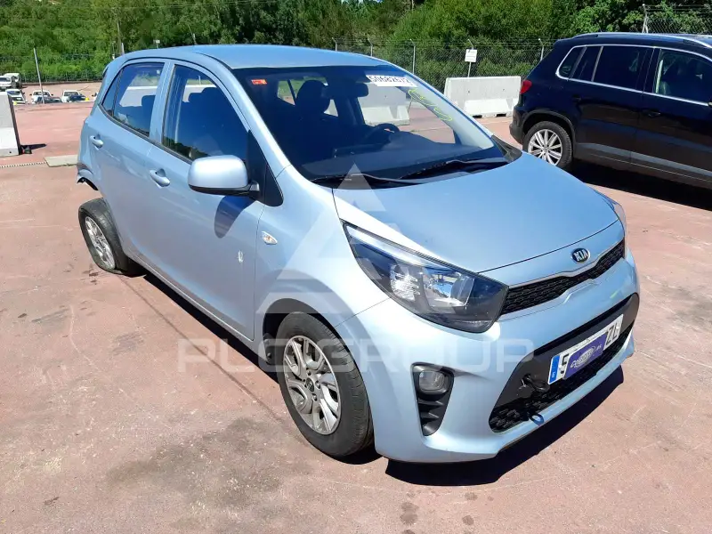 2019 KIA Picanto