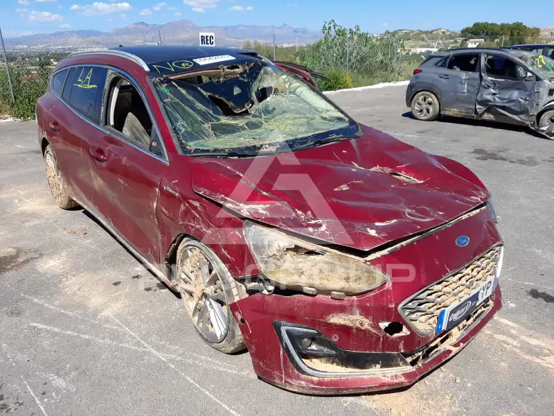 2019 Ford FOCUS