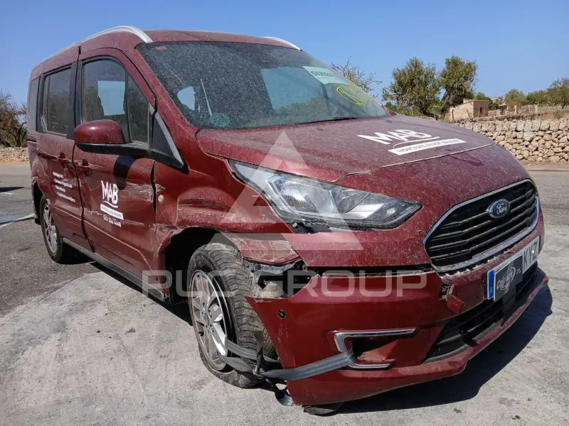 2019 Ford Tourneo