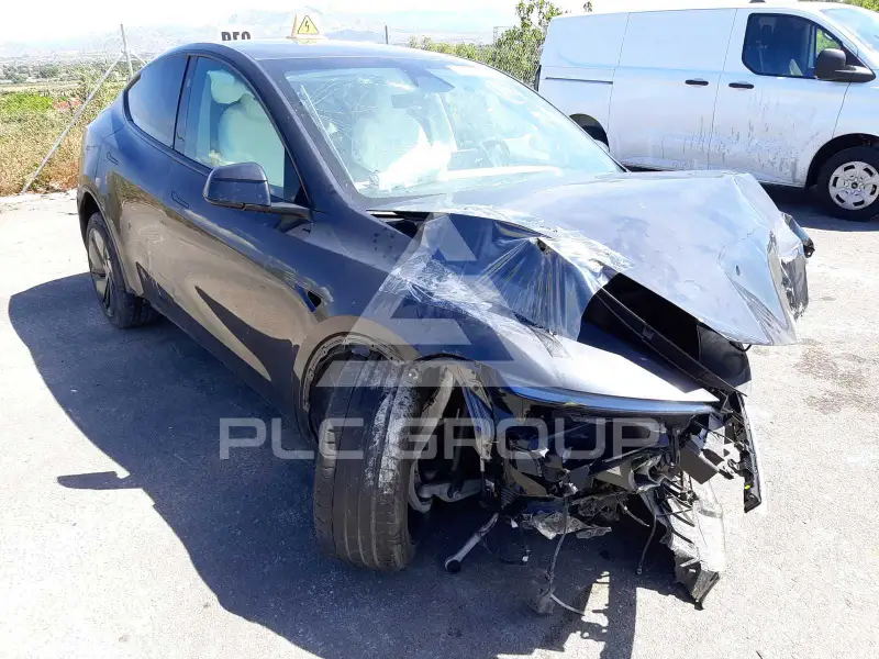 2025 Tesla Model Y